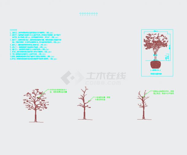 【江苏省】某地某医院绿化景观设计施工图-图一