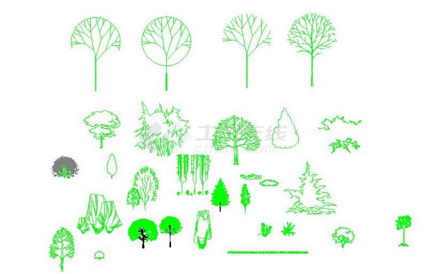 某地小型园林景观详细设计植物立面图-图二