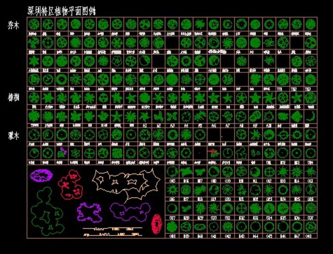 景观设计植物平面，立面素材_图1