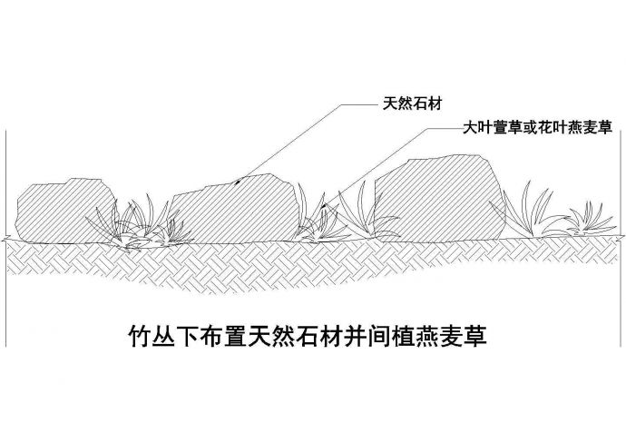 竹丛下布置天然石材并间植燕麦草详图_图1