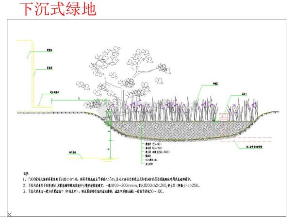 雨水生态技术-生物滞留区、下沉式绿地节点图纸（天正）-图二