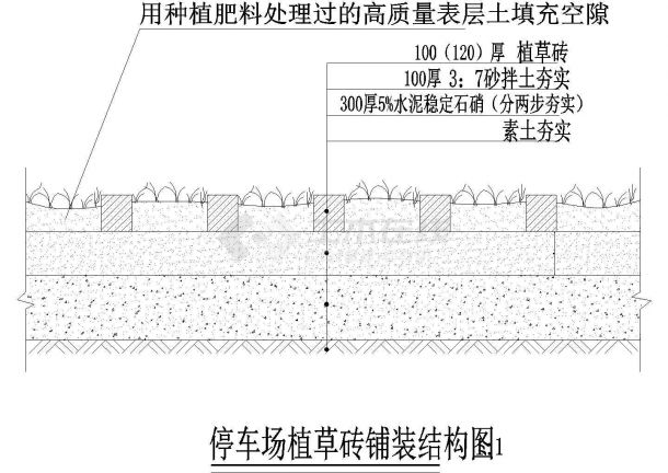 停车场植草砖铺装结构设计cad图-图二