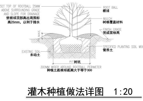 某地区灌木种植做法CAD参考详图-图一