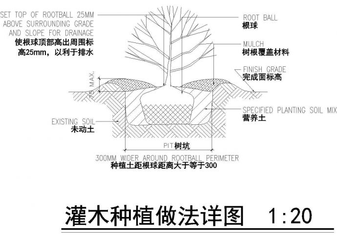 某地区灌木种植做法CAD参考详图_图1
