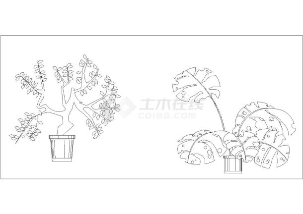 园林绿化设计植物素材（平面、立面）-图一