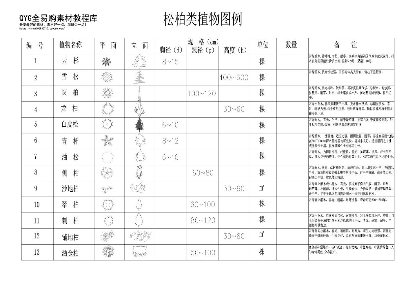 常用松柏类常绿灌木植物类图例CAD素材