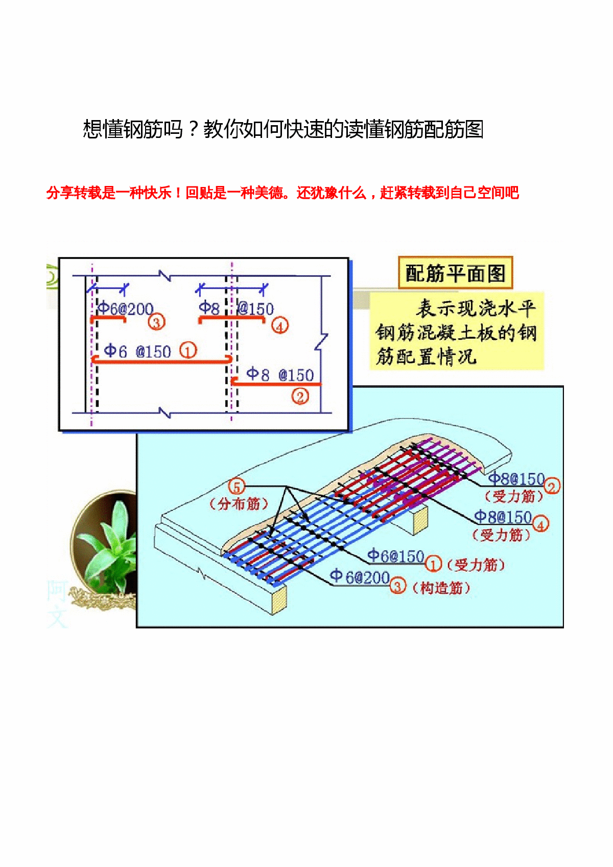 钢筋配筋图施工方案-图一