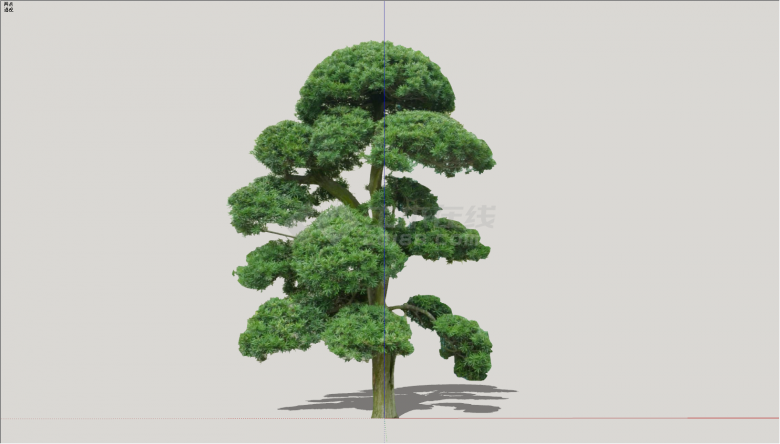 2D造型修剪参考景观树su模型-图二