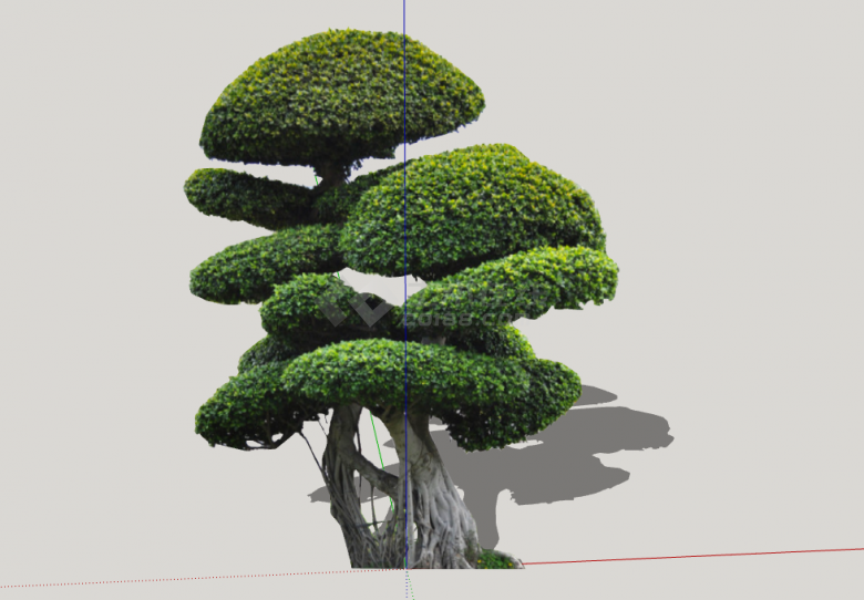 造型优美茂密景观树su模型-图二