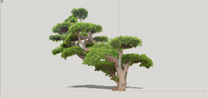 现代2D造型景观树组合su模型_图1