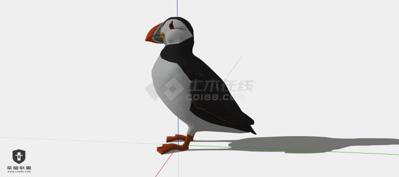 一只站立着的黑白相间嘴巴有花纹的北极海鹦su模型-图二