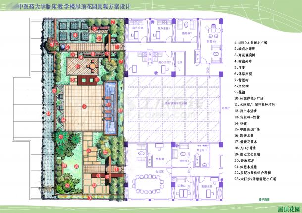 某中医药大学屋顶花园景观方案设计（jpg）-图二