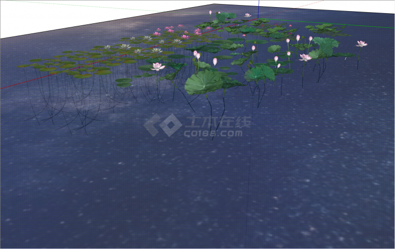 多品种水生植物睡莲su模型-图二