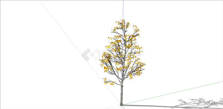 长着红黄树叶的红枫树su模型-图二