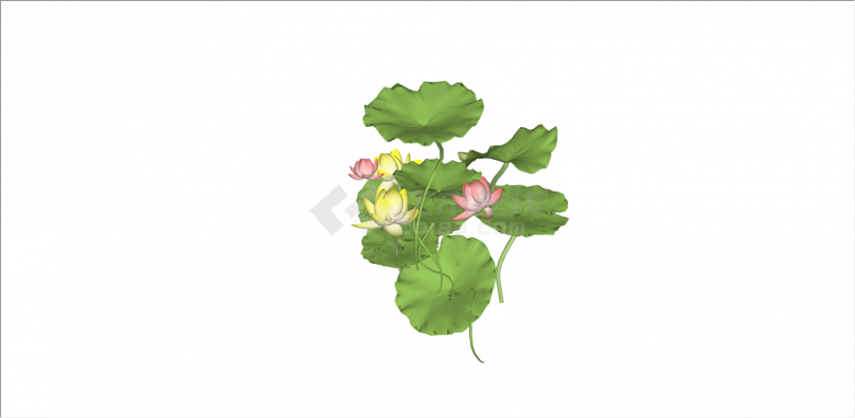 粉黄色荷花和荷叶睡莲su模型-图二