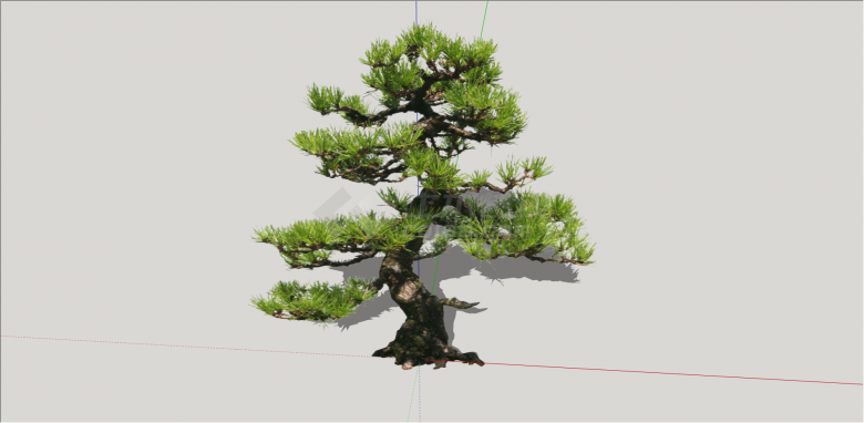 现代可具观赏性造型树su模型-图二