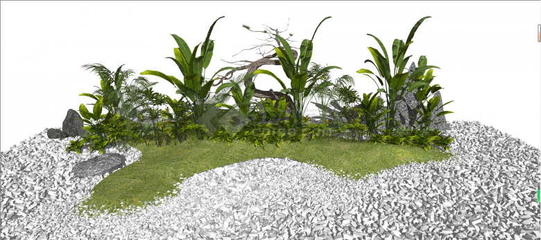 芭蕉丰花草常用植物组团su模型-图二