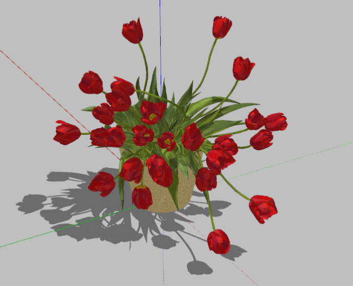 红色鲜艳花朵的花瓶su模型_图1