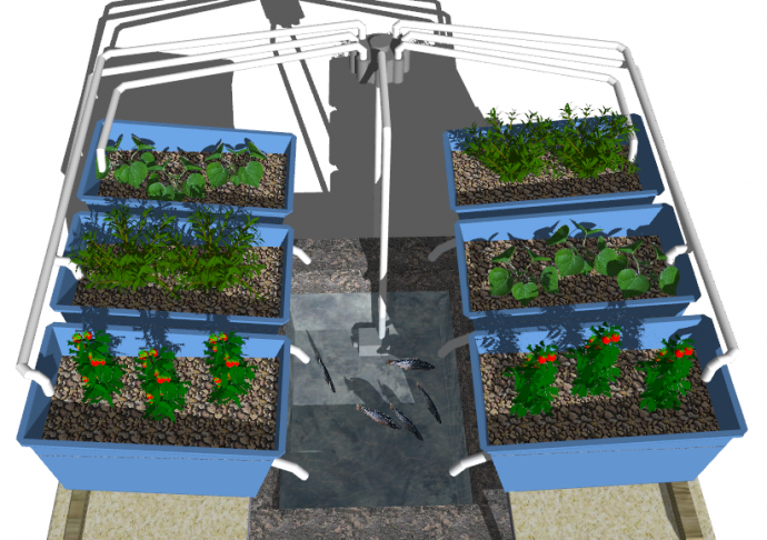 六架植物养殖倾斜式流向底部大型鱼缸器皿su模型_图1