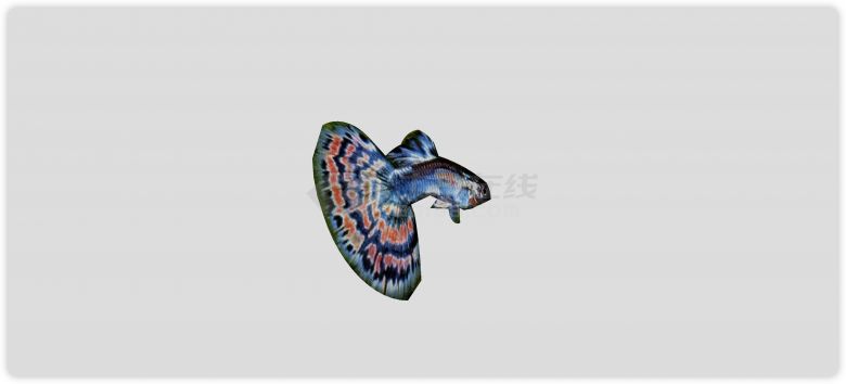 蓝色橙色花纹热带鱼水族馆鱼类动物组合su模型-图一