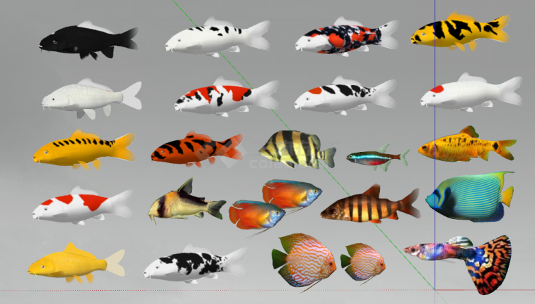 各种颜色的名贵观赏鱼组合su模型-图一