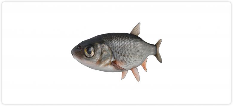水库鱼现代鱼雕塑小品海洋生物su模型-图一