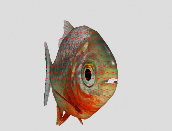 五彩斑斓水族馆鱼类动物组合SU模型_图1