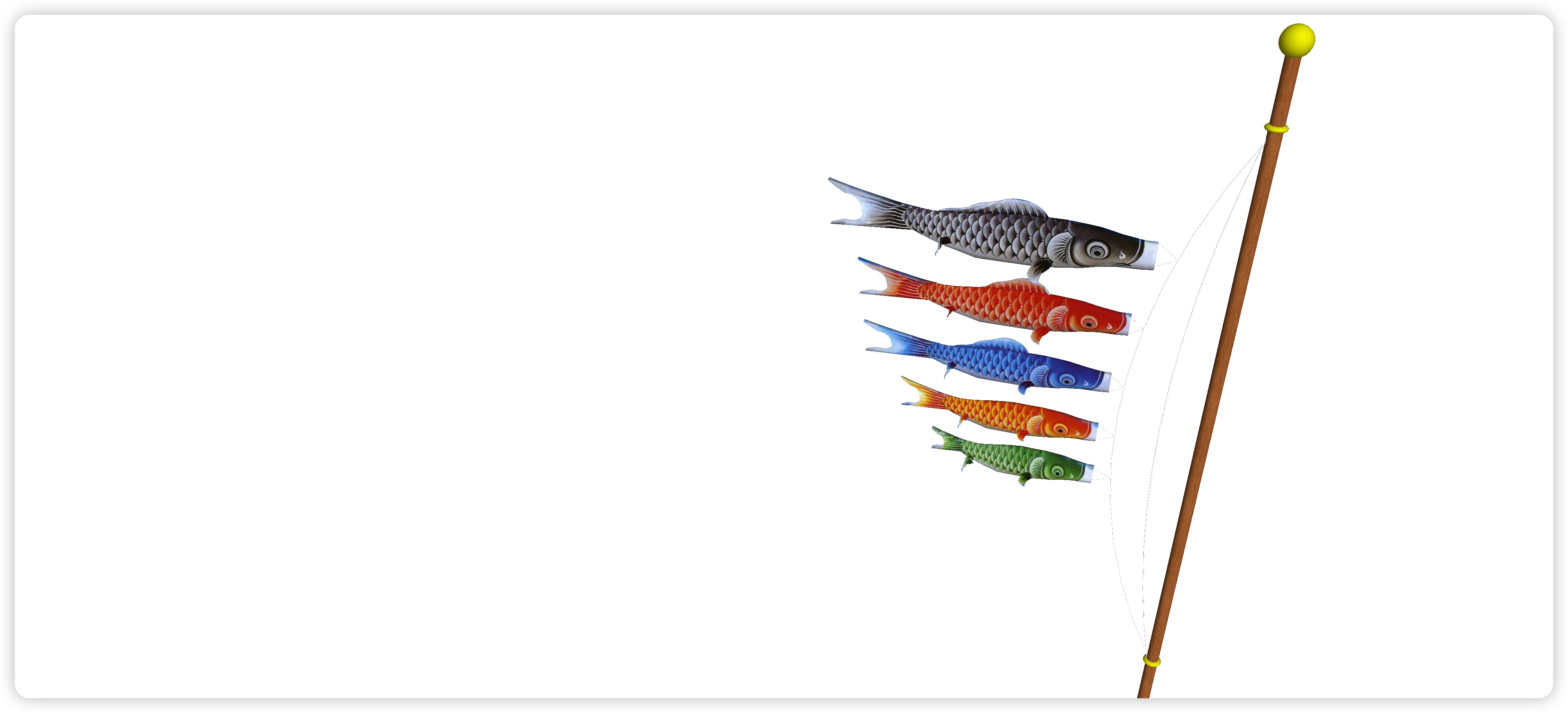 绥化观赏鱼市场锦鲤出现一个白点越来越大求助 - 红老虎鱼 - 广州观赏鱼批发市场