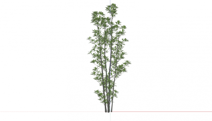 法国冬青绿色植物su模型_图1