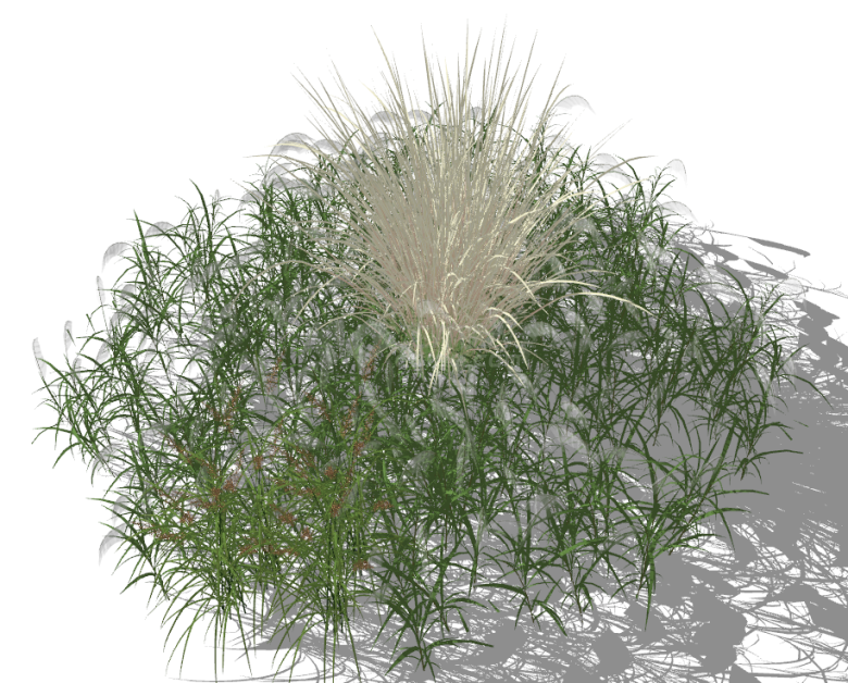 圆形带白色植物的草坪su模型-图二