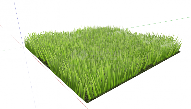 草皮草坪地被单块展示su模型-图二