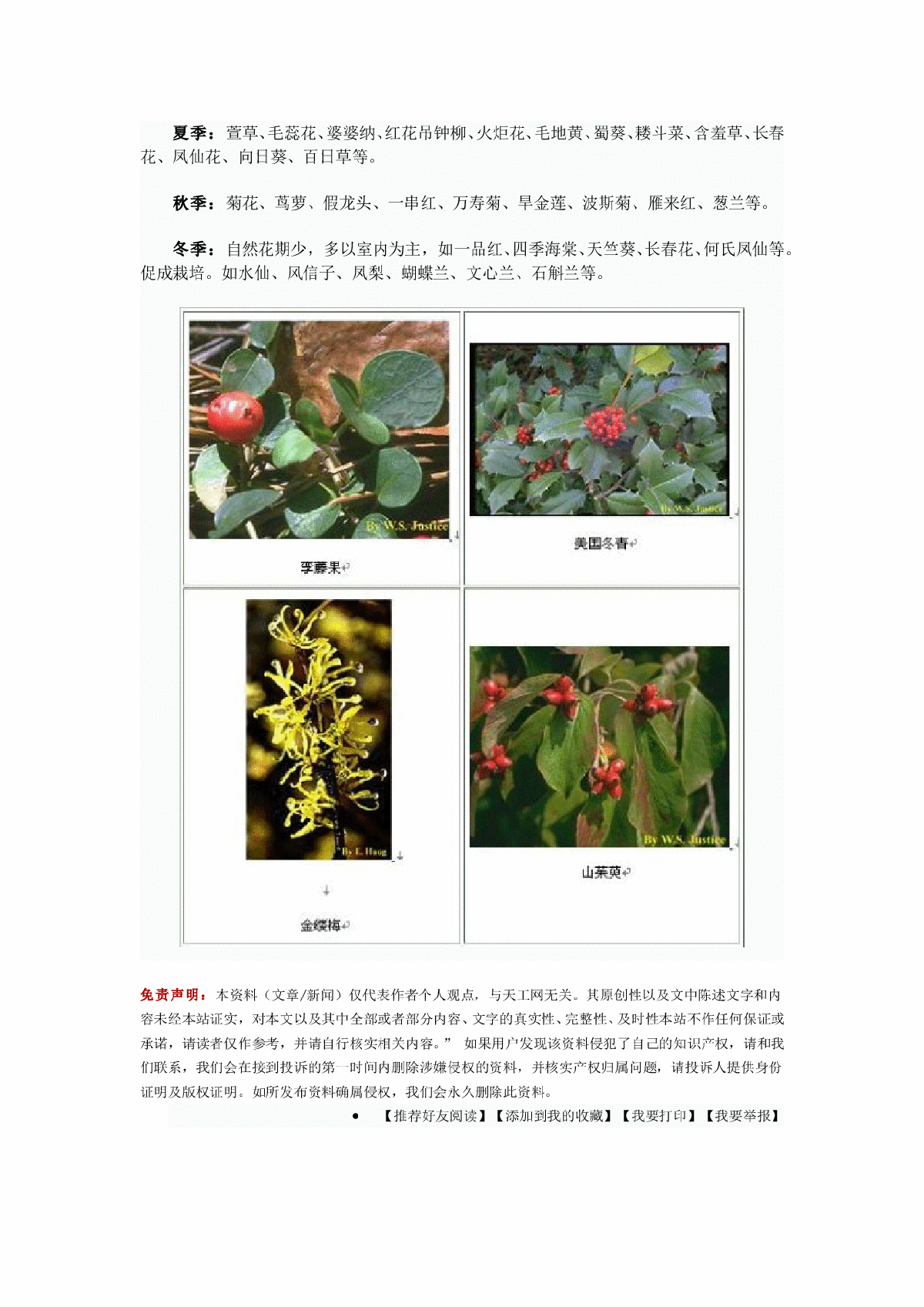四季开花植物-图二