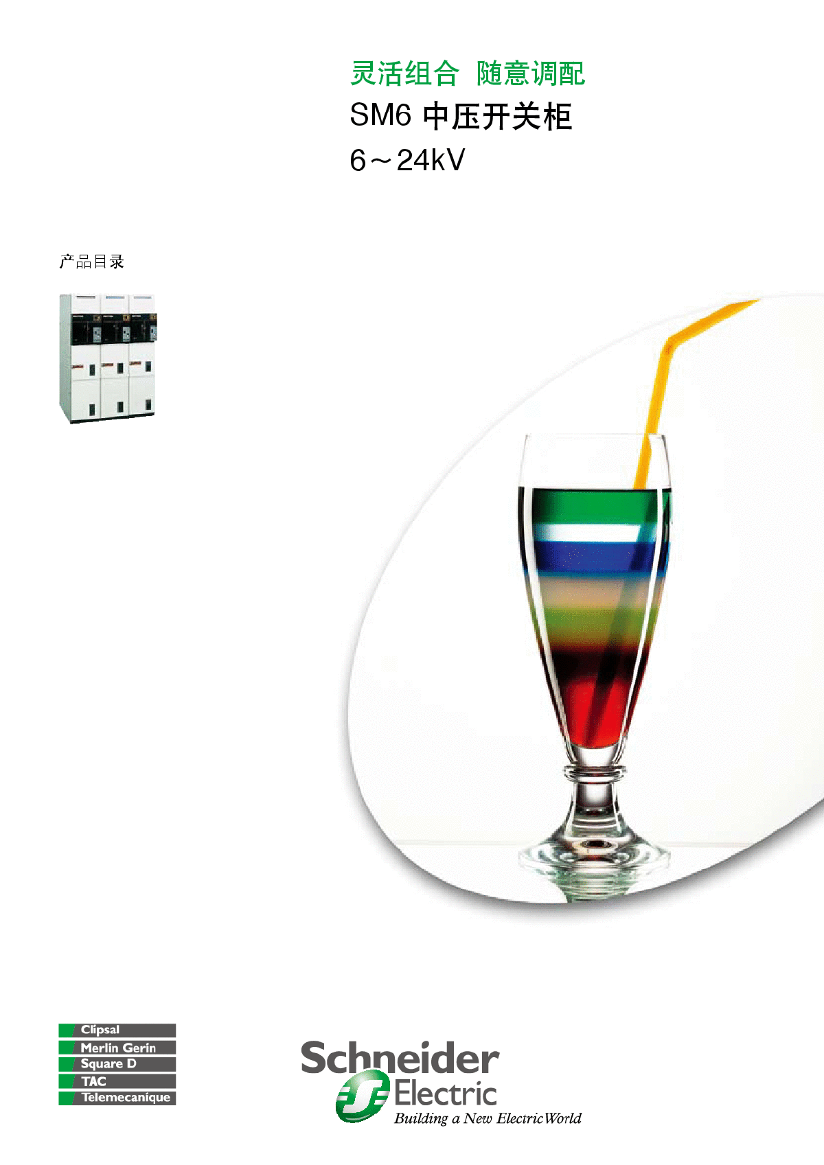 施耐德电气SM6中压开关柜6～24kV使用说明书.pdf-图一