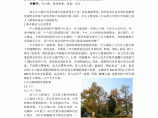 南京中山陵景区植物景观分析图片1
