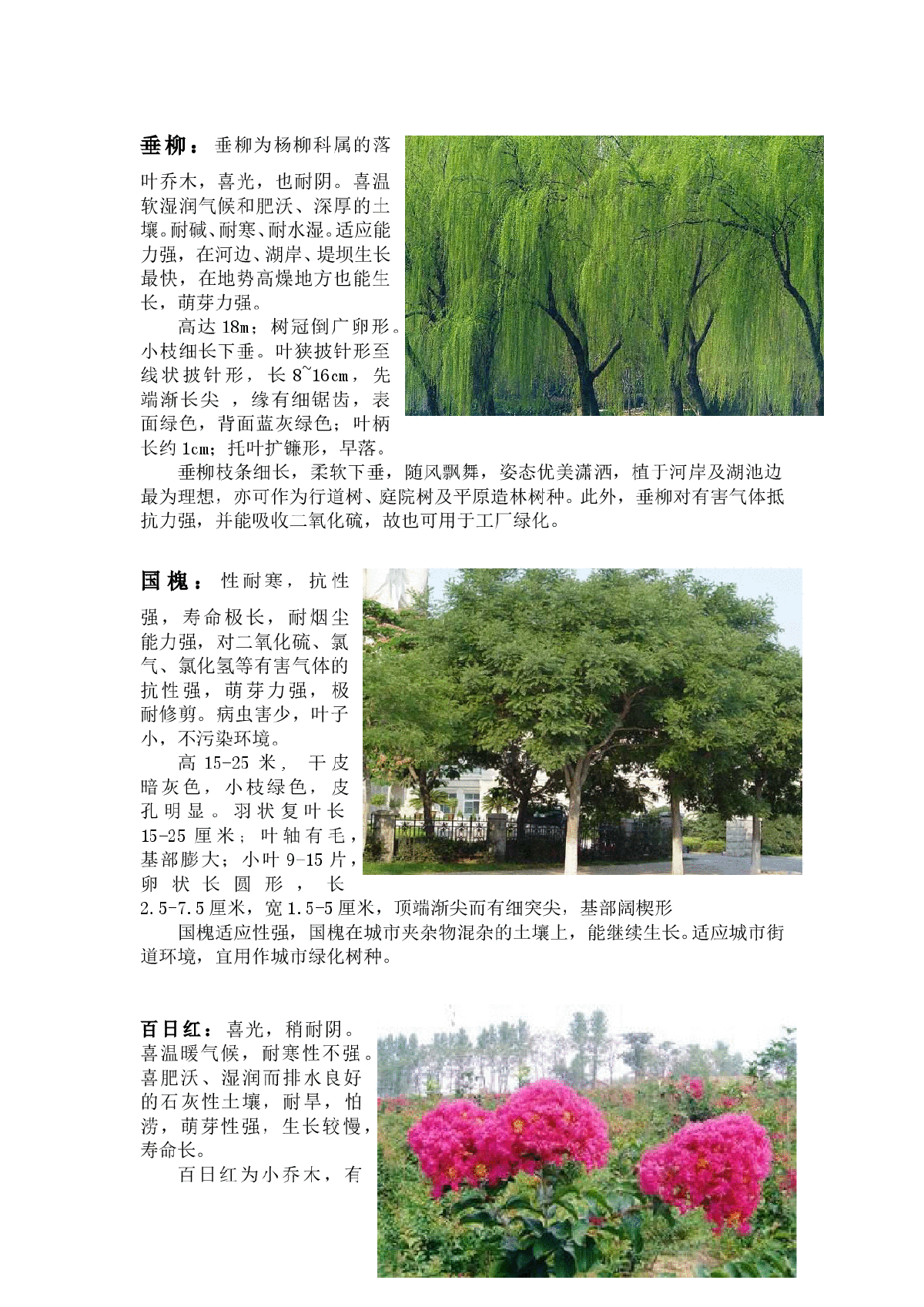 山东省部分绿化植物摘选-图二