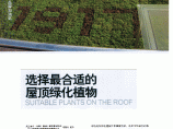 选择最合适的屋顶绿化植物图片1