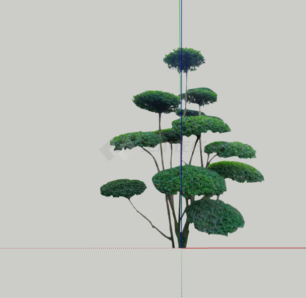 绿色现代绿丝带造型树su模型-图二