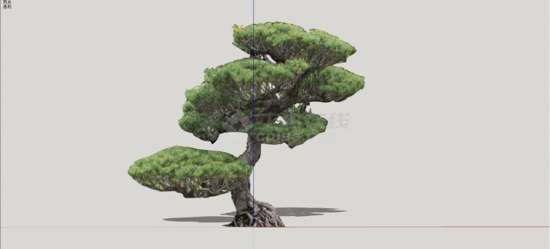 常绿乔木造型松树组合su模型-图一