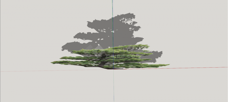 伞盖状黑松造型松树组合su模型-图一