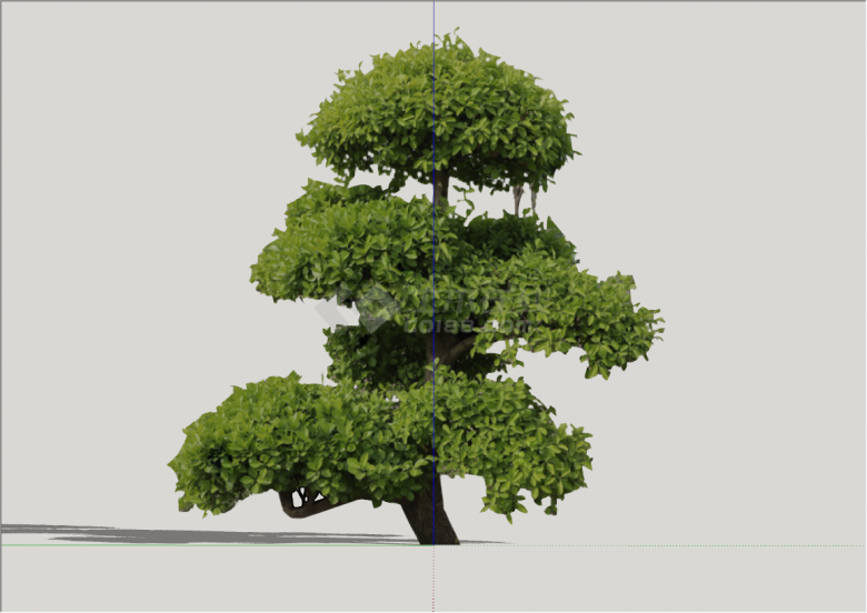 现代造型景观树组合景观su模型-图二