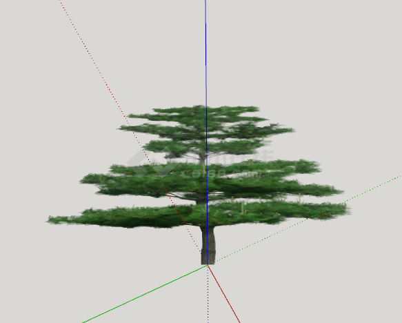 细榕树绿丝带造型树su模型-图二