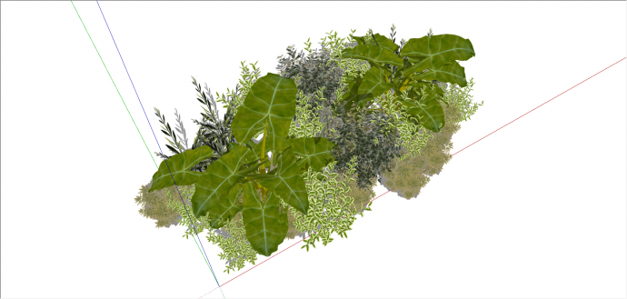 绿色系观赏性植物组合su模型_图1