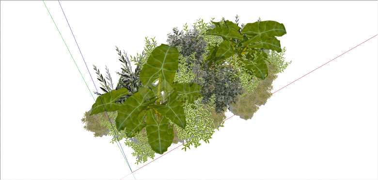 绿色系观赏性植物组合su模型-图一