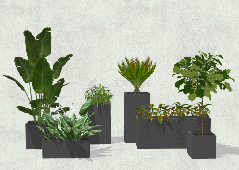 多种植物组合现代绿植盆栽su模型-图二