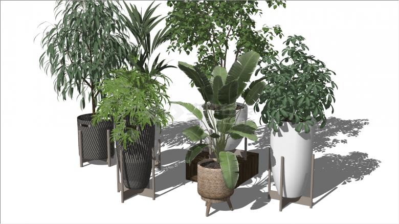 多个白色灰色和土色现代绿植盆栽su模型-图二