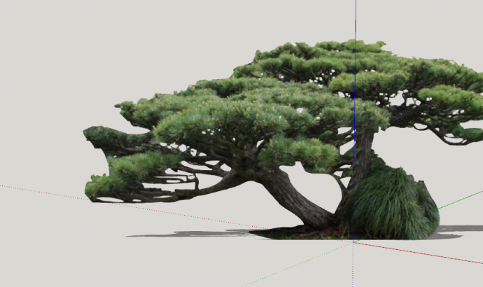 绿色粗壮造型松树组合 su模型_图1