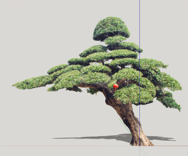 绿色褐色造型松树组合 su模型-图二
