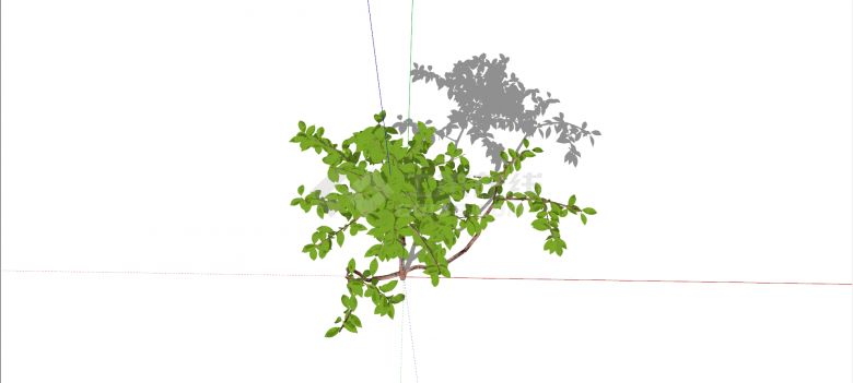 紫葳科菜豆树绿色乔木su模型-图二