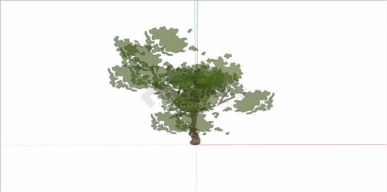 现代单棵造型树植物 su模型-图二
