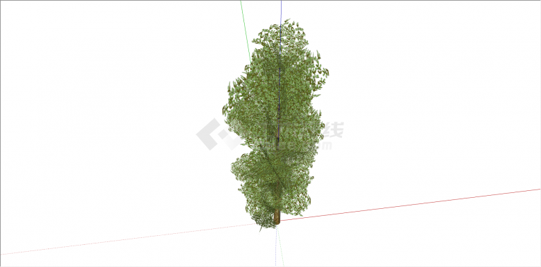 家种庭院绿色乔木树su模型-图二